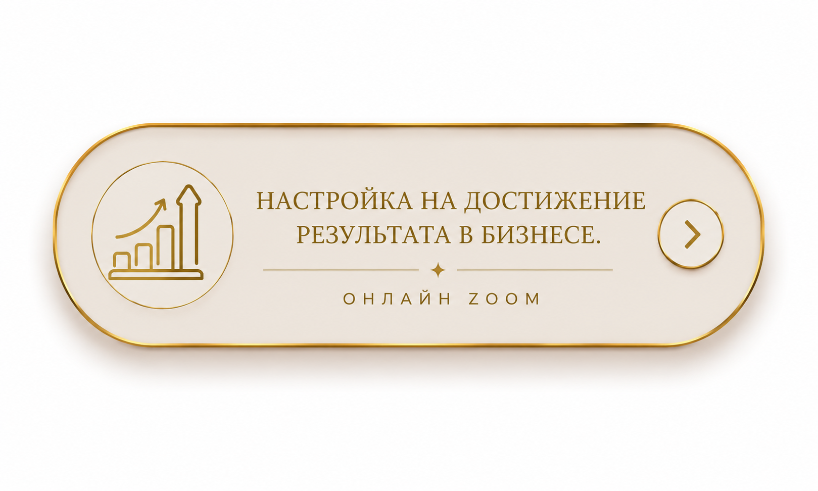Настройка на достижение результата в бизнесе. Онлайн Zoom.